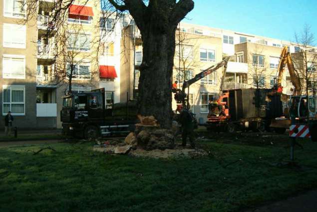 bomen kappen in Breda Esbeek Biezenmortel Helvoirt Waalwijk Loon op Zand Goirle Heusden Oudheusden Dongen Utrecht Den Bosch Venlo Made Drunen Diessen boomrooier